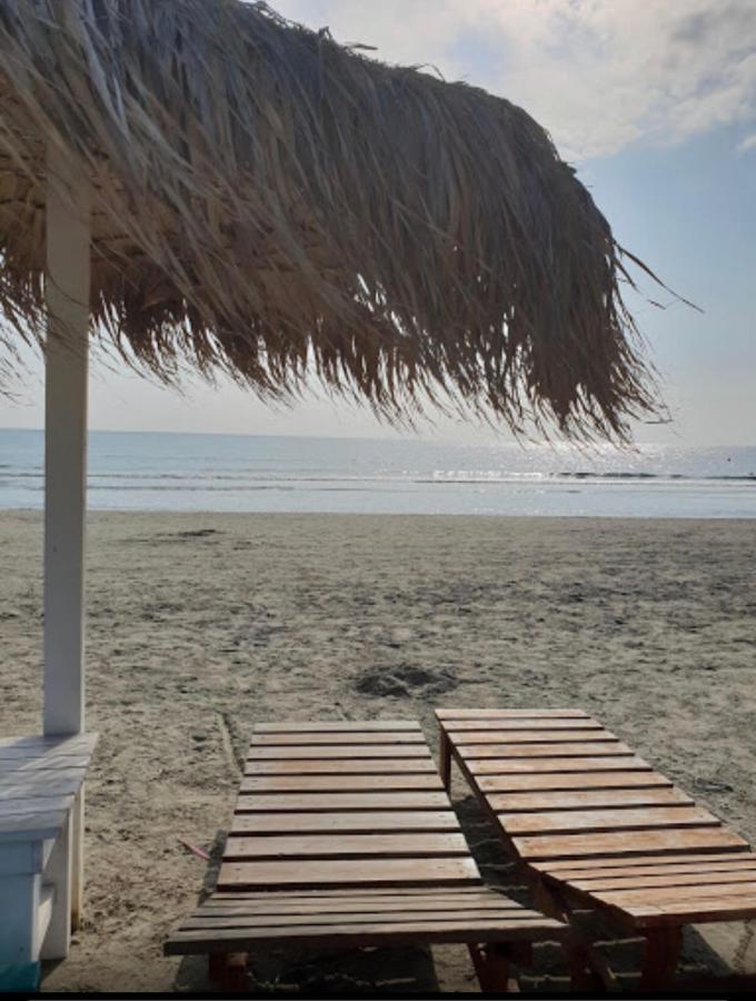 Casa Eric Βίλα Năvodari Εξωτερικό φωτογραφία